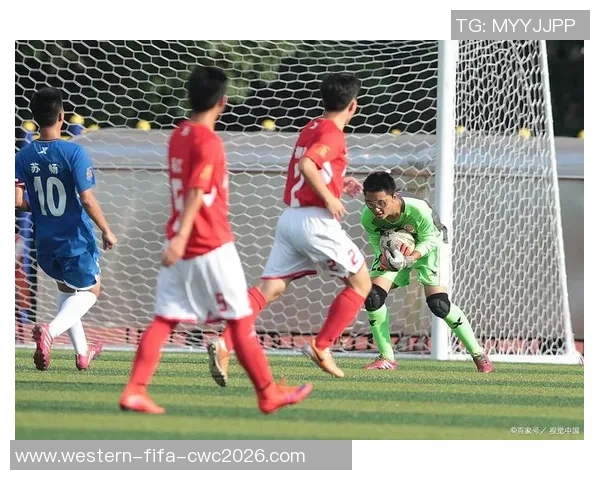 绿茵场上的梦想与热血足球题材电视剧带你感受青春的激情与奋斗