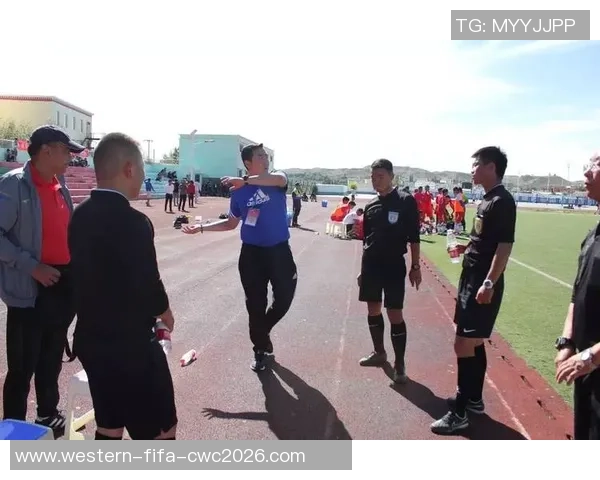 胡葆森在足球领域的贡献与影响力探讨及其对中国足球发展的启示